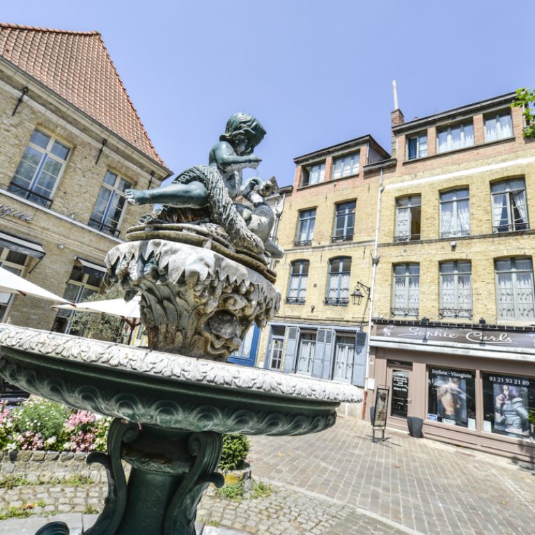 Saint Omer fontein centrum