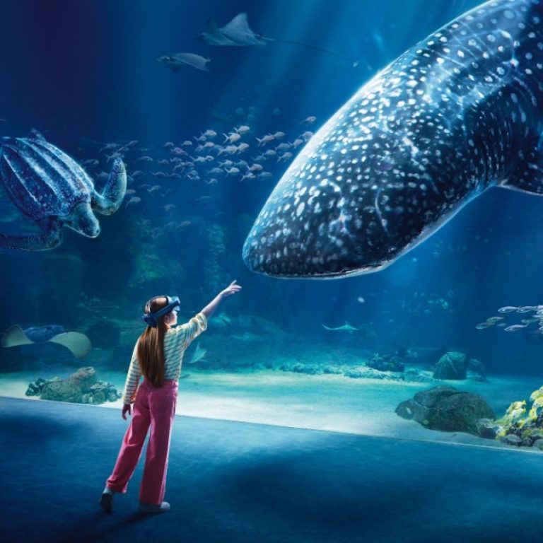 Virtual reality in Nausicaá – Boulogne