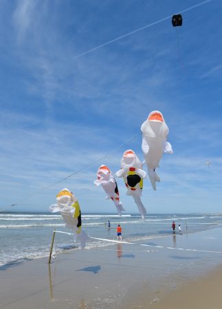 Vliegerfestival in Berck-sur-Mer